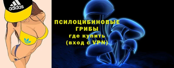 гидропоника Осинники