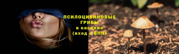 jwh Сатка