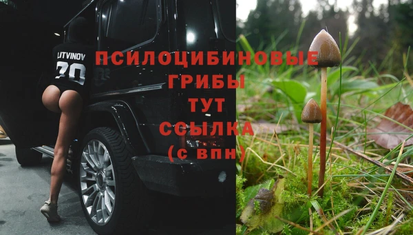 Альфа ПВП Сафоново