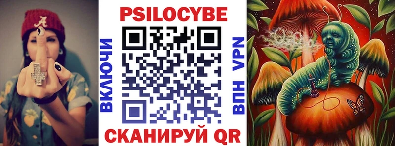 купить  сайты  Севастополь  Галлюциногенные грибы Psilocybe 
