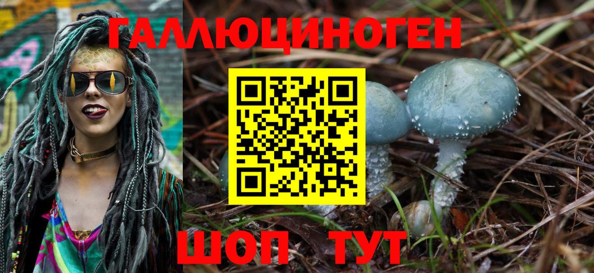 Псилоцибиновые грибы Magic Shrooms  где продают   Севастополь  Галлюциногенные грибы Psilocybe 